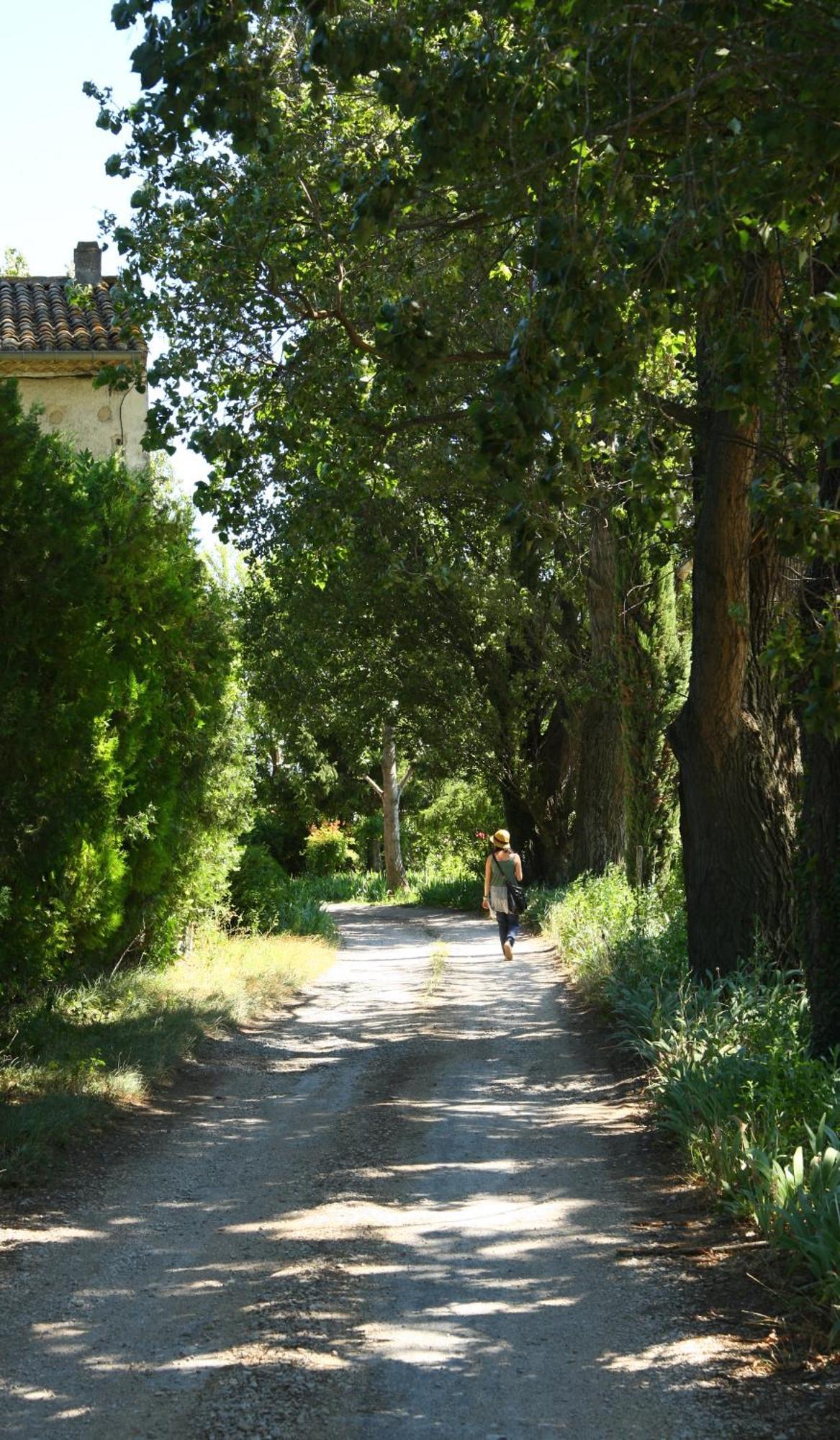 La Nesquière Chambres d'Hôtes Pernes-les-Fontaines Exterior foto